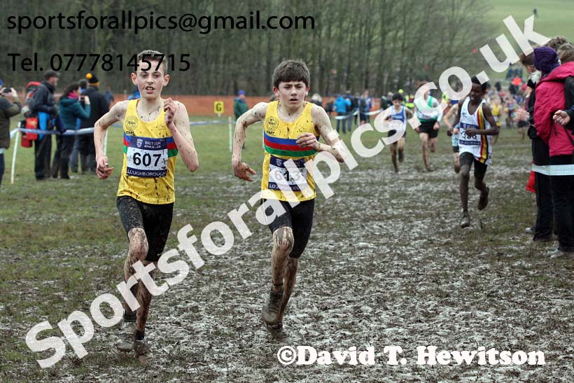 Boys under-13s 2018 British Inter Counties Cross Country Champs., Prestwold Hall, Loughborough. Photo: David T. Hewitson/Sports for All Pics